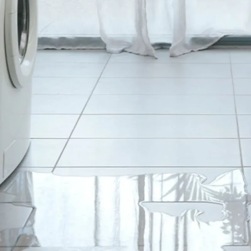 Appliance Leak Cleanup in Lake Nebagamon, WI