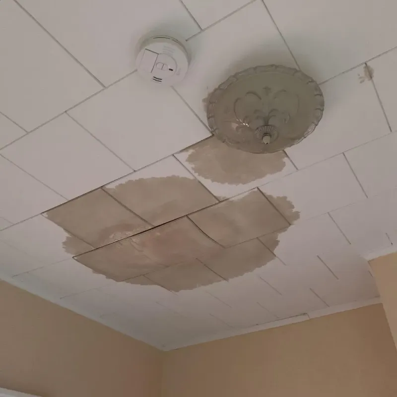 Ceiling Water Damage Repair in Lake Nebagamon, WI