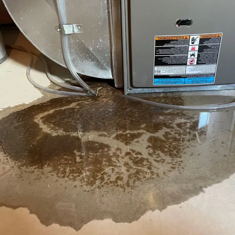 Pipe Burst and Leak Restoration in Lake Nebagamon, WI