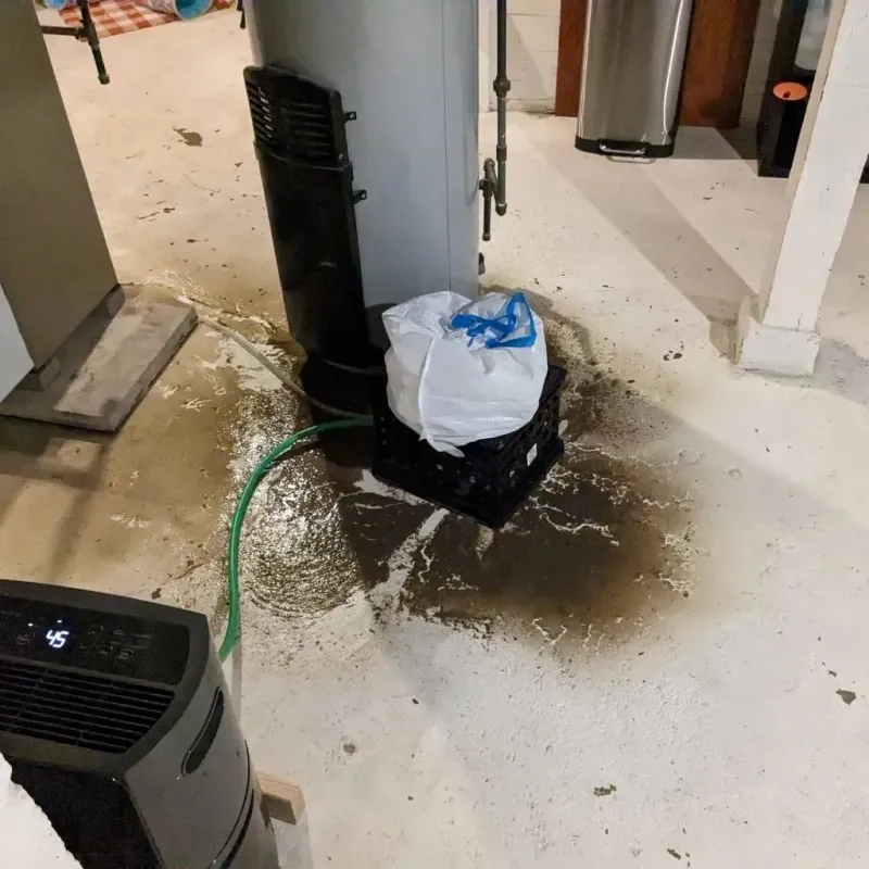 Sewage Backup Cleanup Service in Lake Nebagamon, WI
